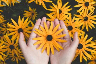Close-up of hands holding vibrant yellow daisies, showcasing natural beauty and floral pattern.